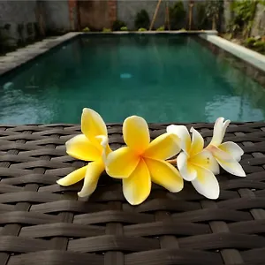 3* Gasthof Eka Bali